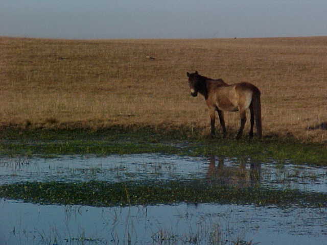 Cavalgada nos Cânions